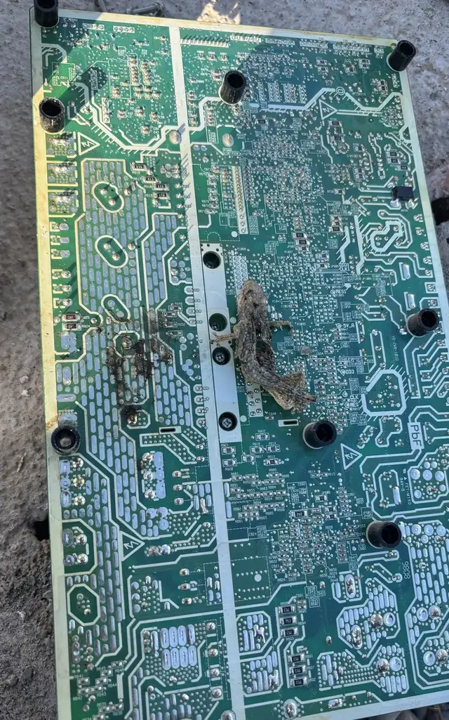 Placa electrònica cremada retirada d'un equip